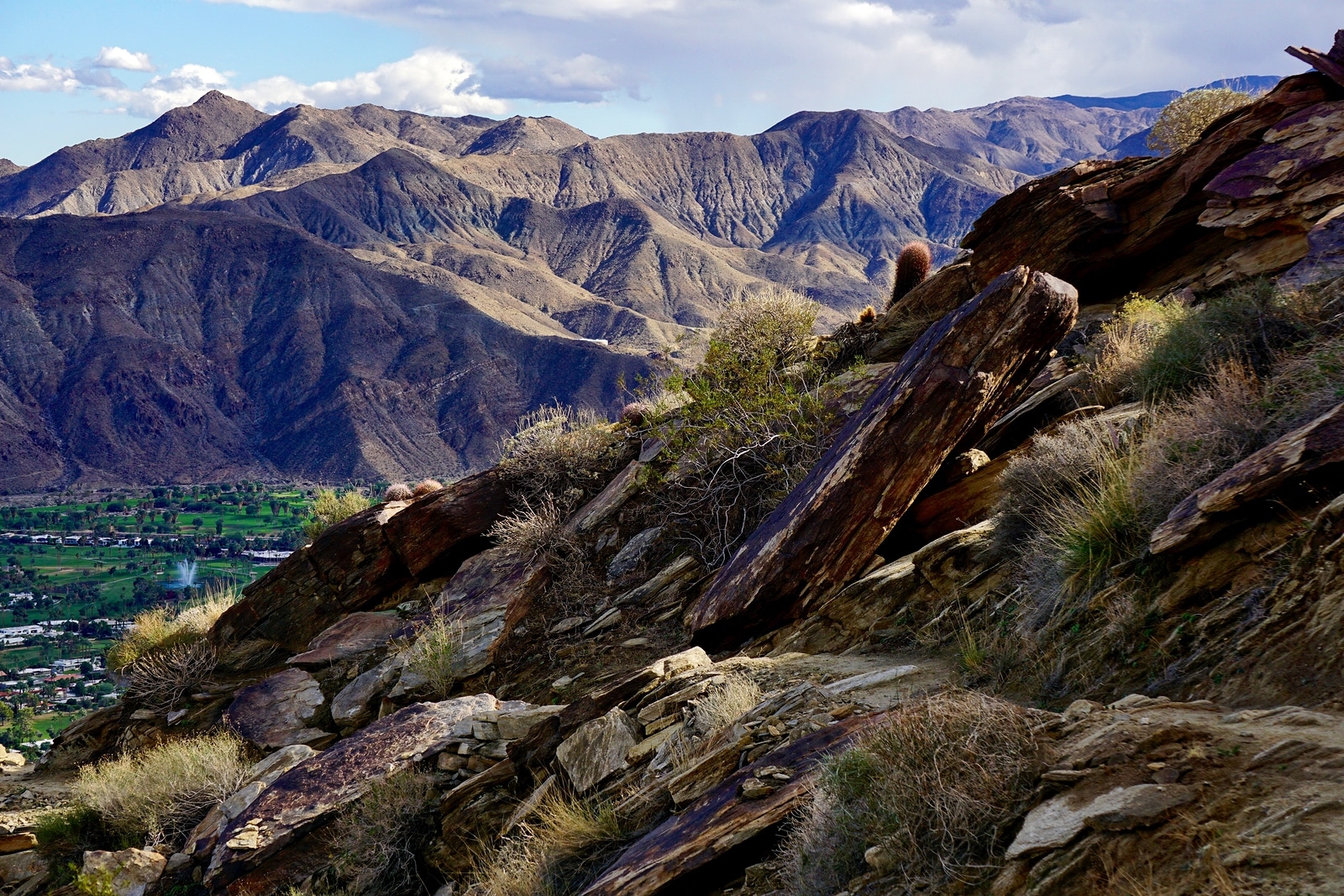 These are 8 of the Best Spring Hikes to Take in Palm Springs