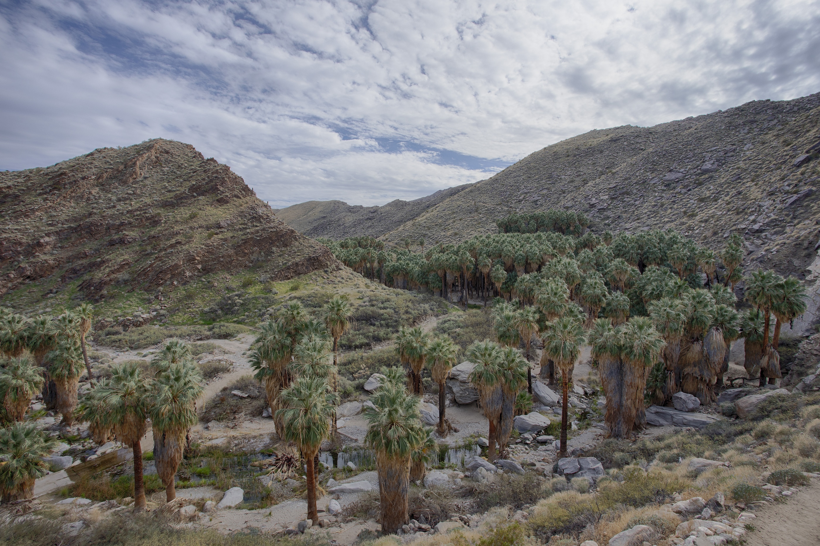 Indian Canyons is a great place to explore nature in Palm Springs.